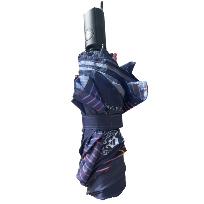 Compact Centenary Umbrella - Image 2