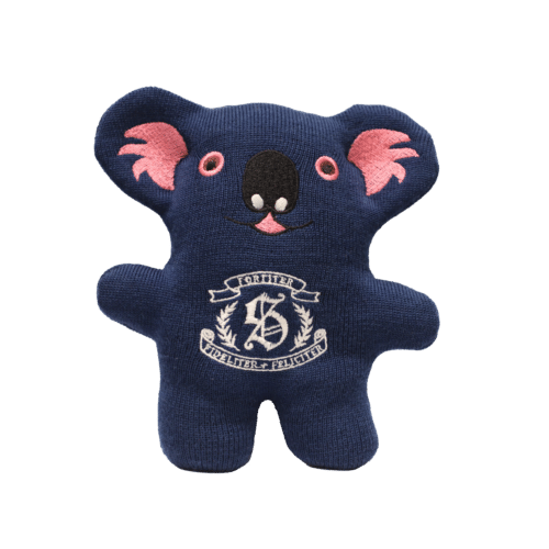 Strathcona Koala