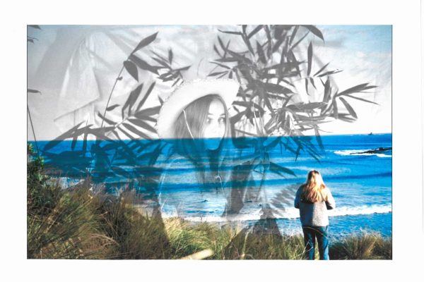 Alice Freeman Folio Photography and Photoshop 6 no 8