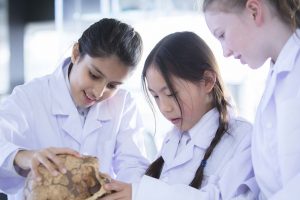 Girls out perform boys in STEM