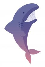 Shark graphic