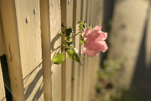 Shanny Xu Environmental Sculpture Photography year 10 no 1