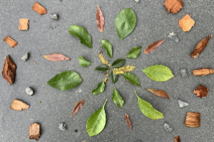 Shreya Khanna Environmental Sculpture Photography year 10 no 10